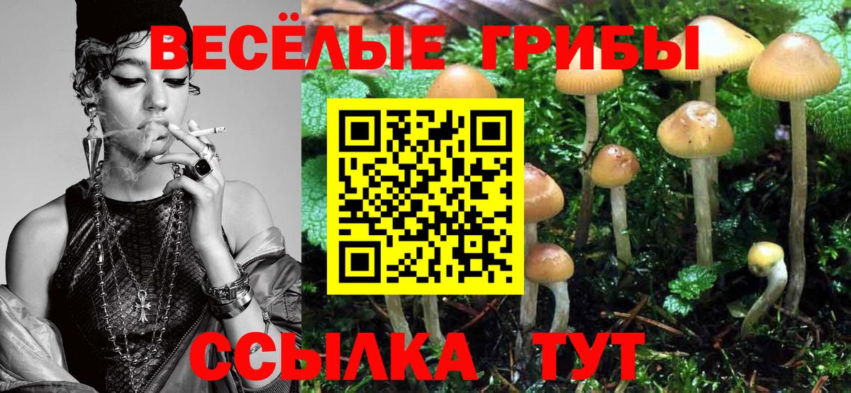 Псилоцибиновые грибы ЛСД Дзержинск