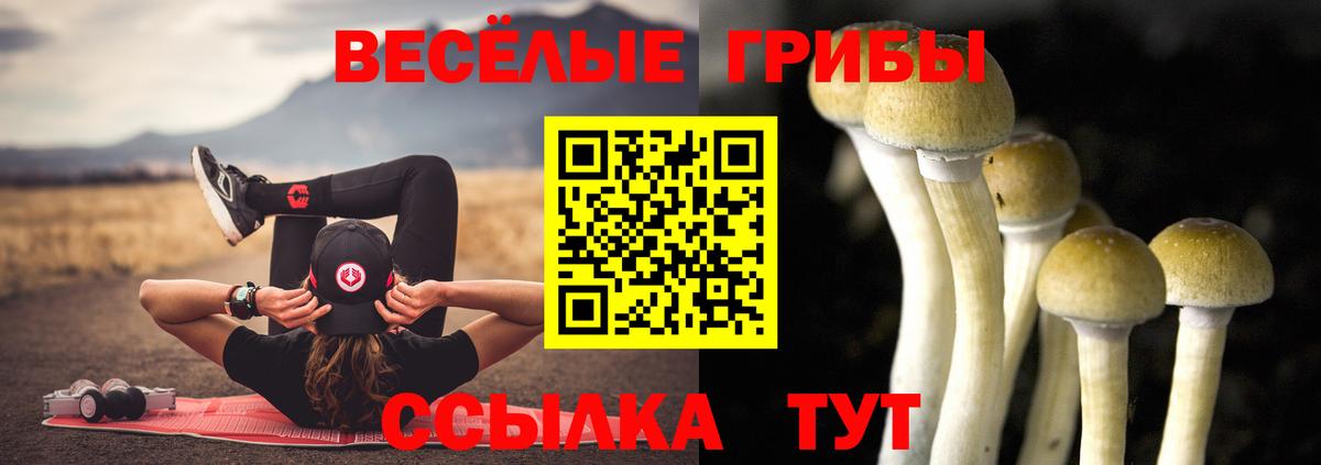 Псилоцибиновые грибы прущие грибы  Вход с VPN  цена наркотик  Дзержинск 
